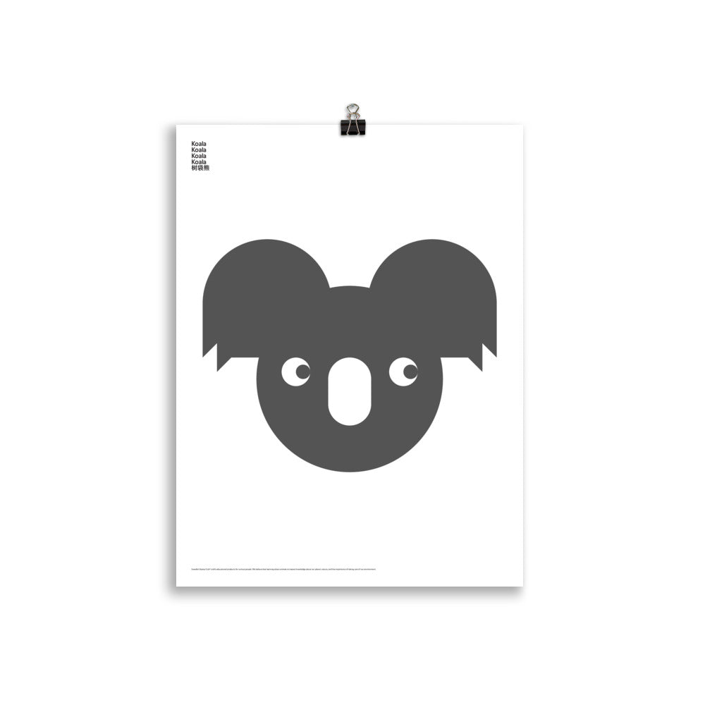 Animal Koala Poster