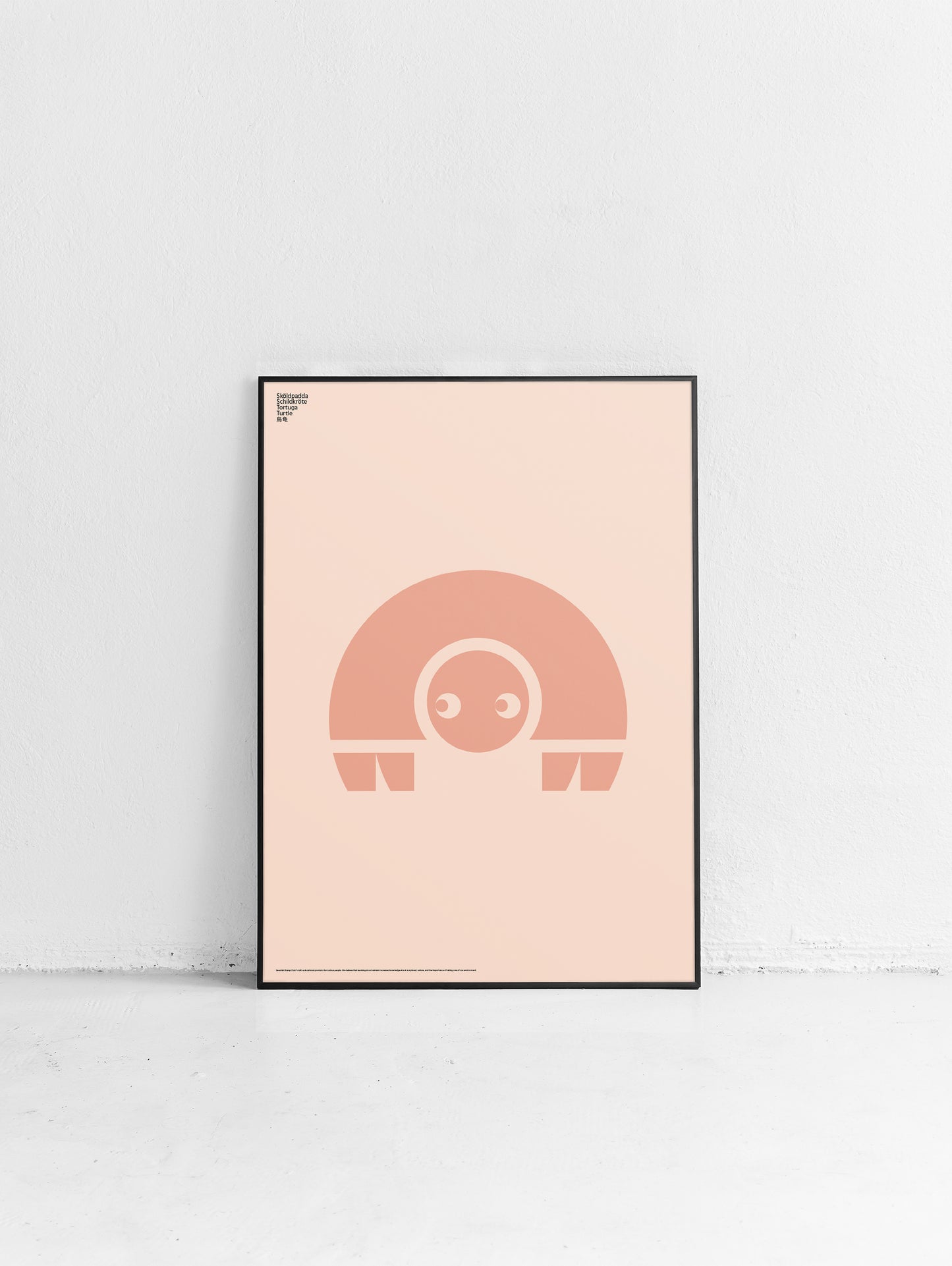 Animal Turtle Poster