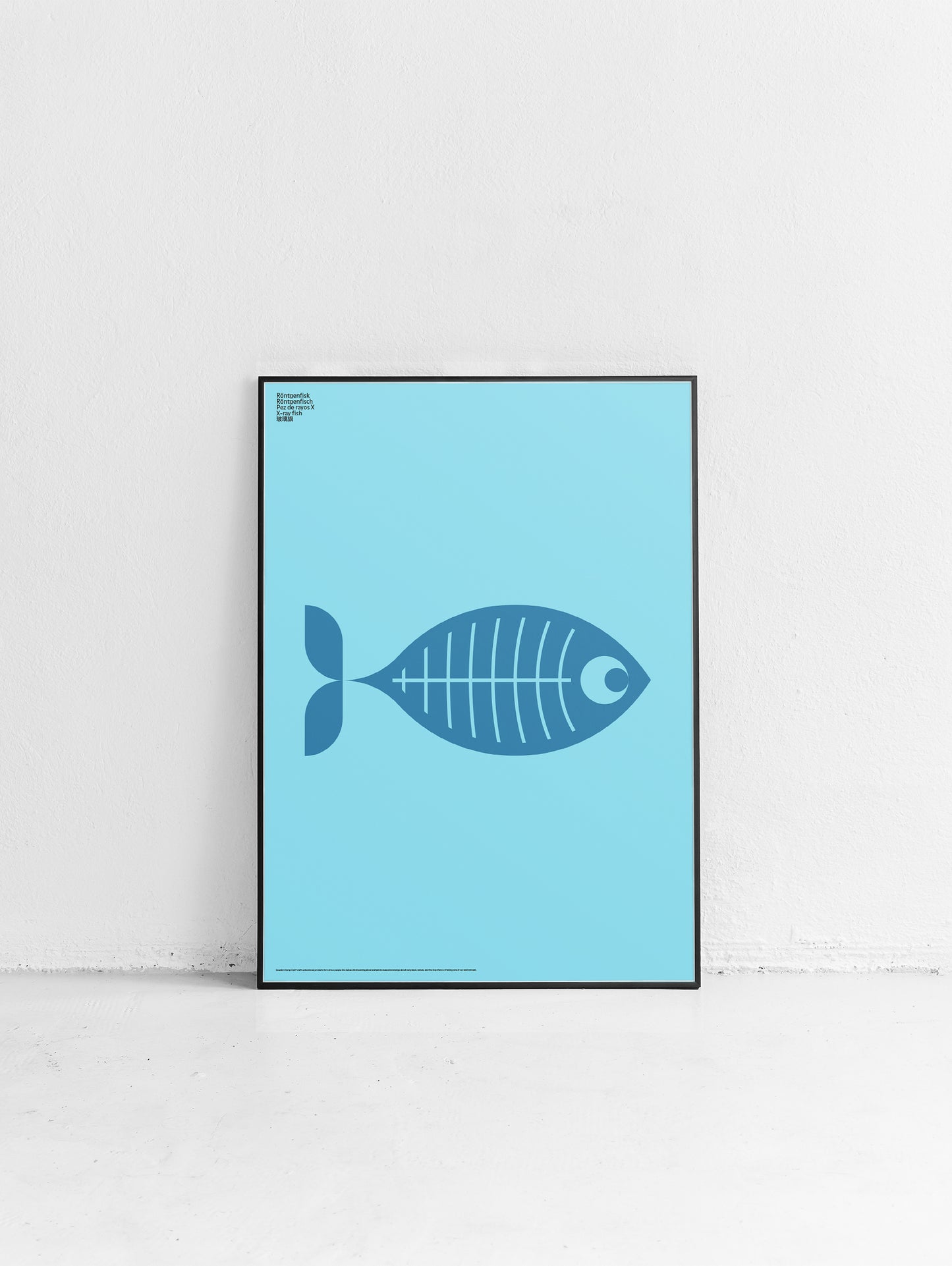 Animal X-Ray Fish Poster