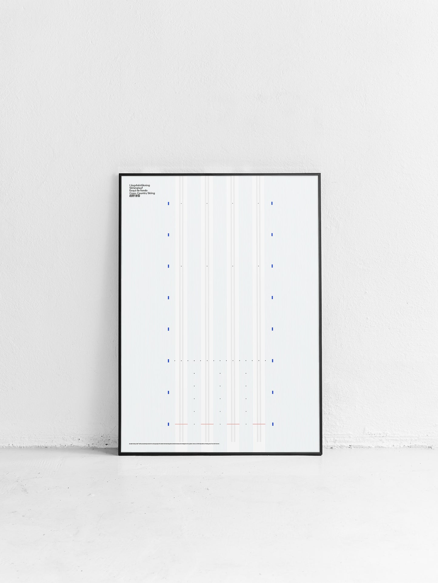 Sport Cross-Country Skiing Poster