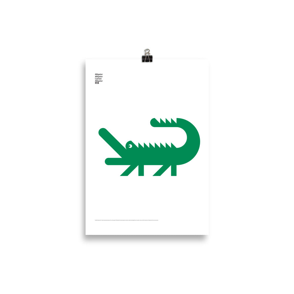 Animal Alligator Poster