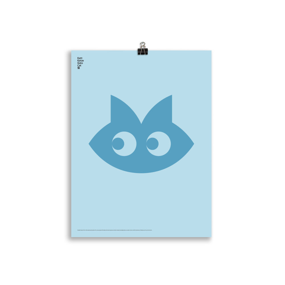 Animal Cat Poster