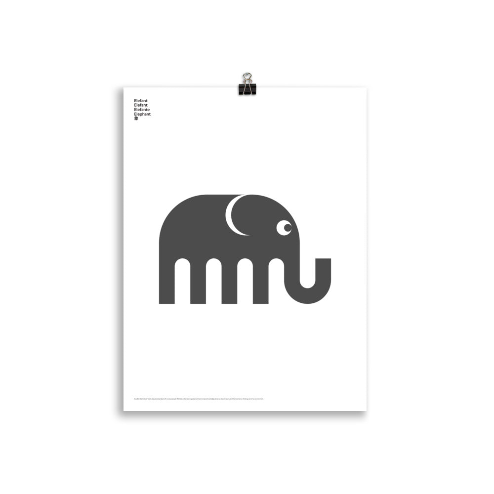 Animal Elephant Poster