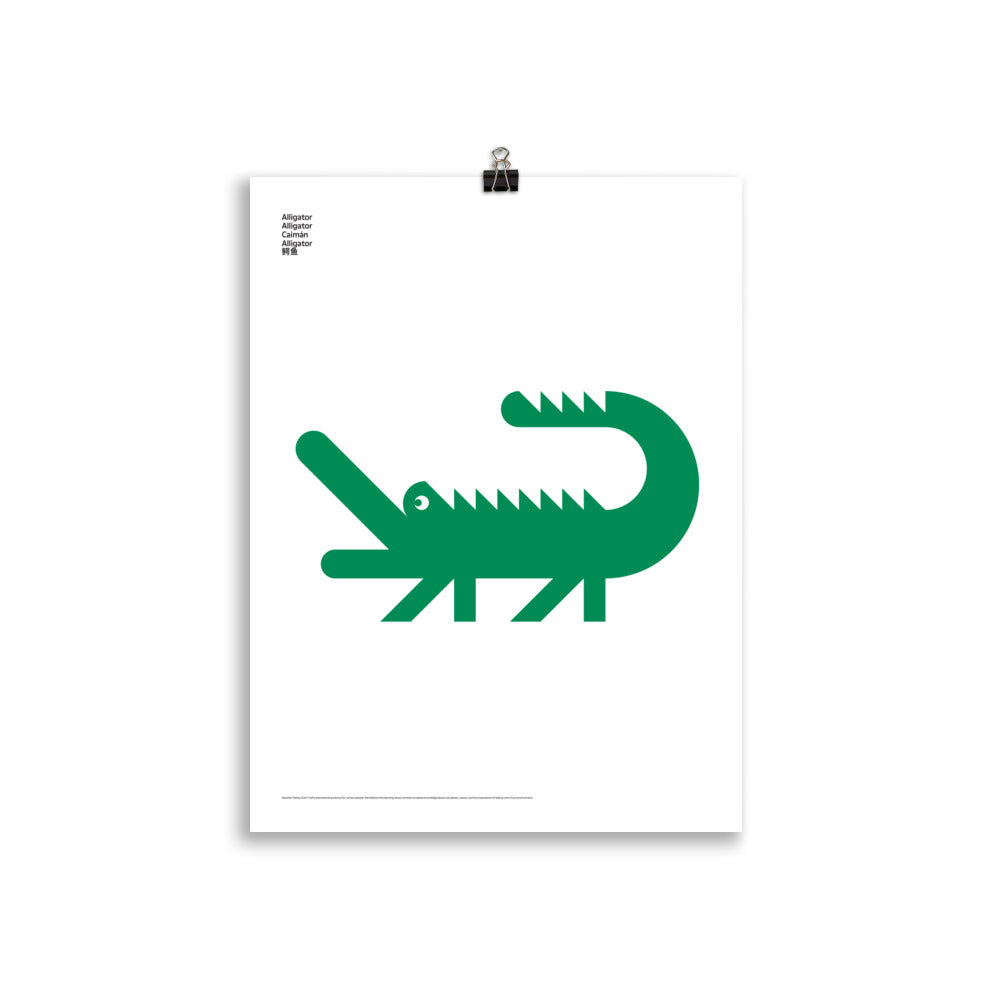 Animal Alligator Poster
