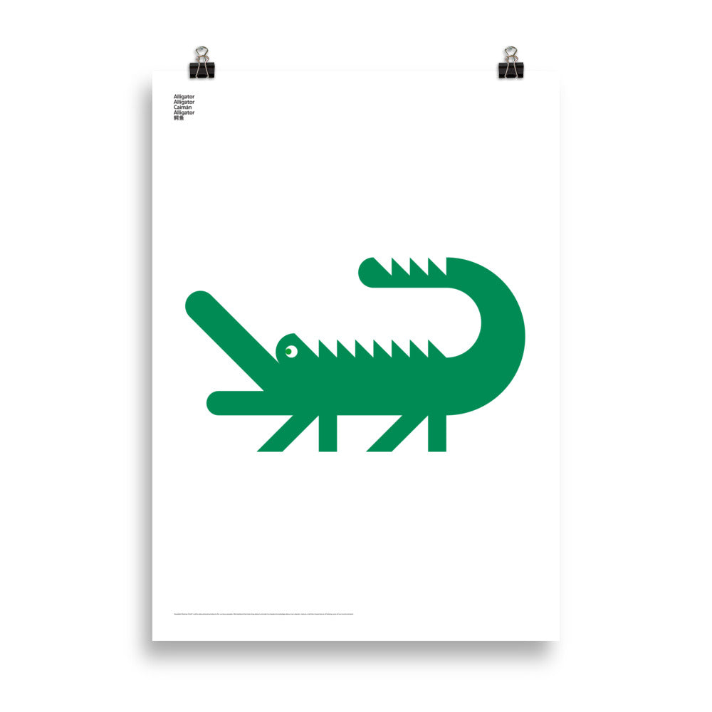 Animal Alligator Poster