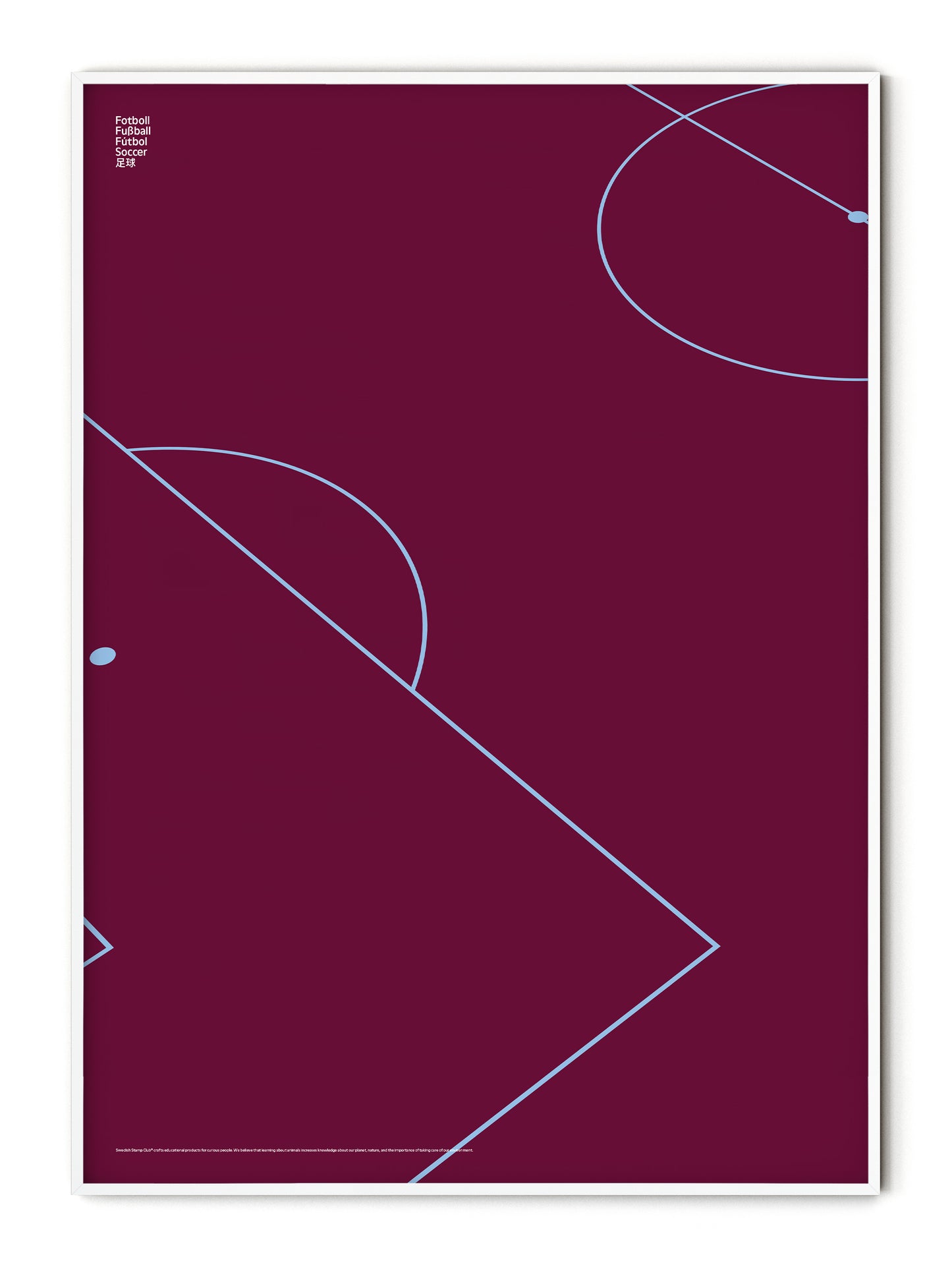 Sport Football Detail Poster