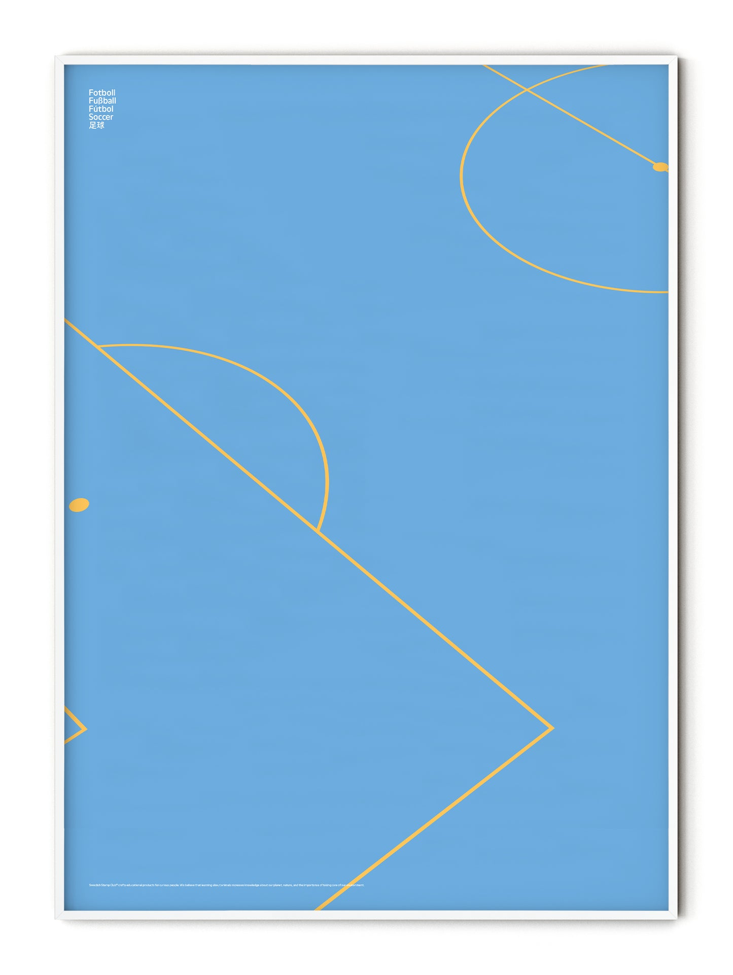 Sport Football Detail Poster