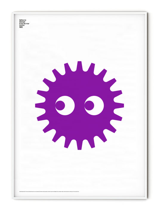 Animal Urchin Poster
