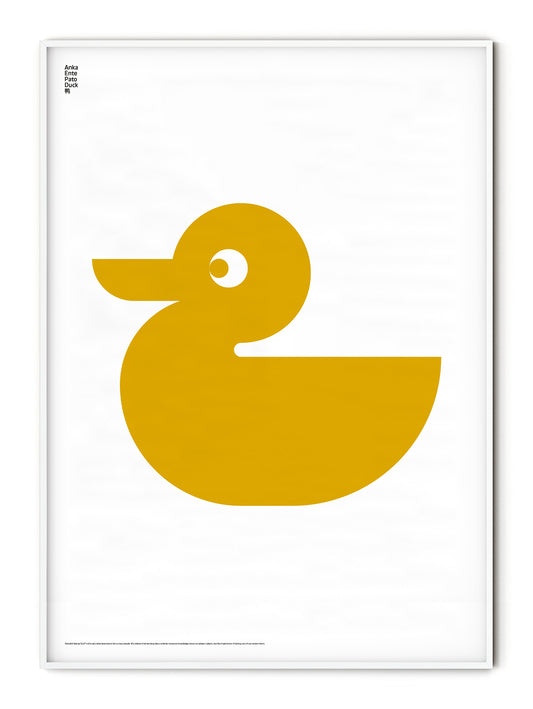 Animal Duck Poster