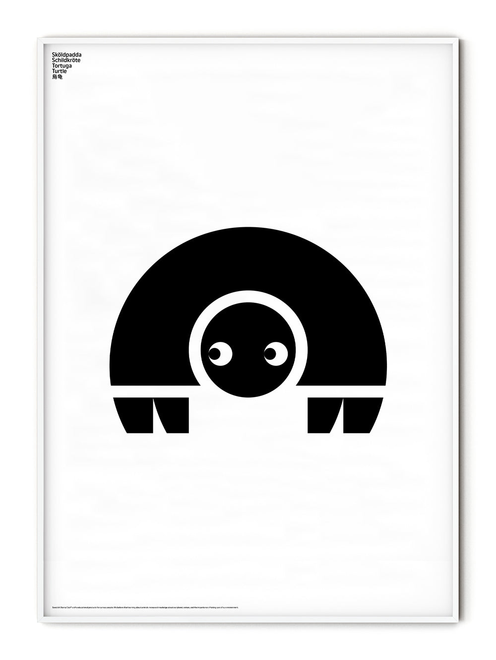 Animal Turtle Poster