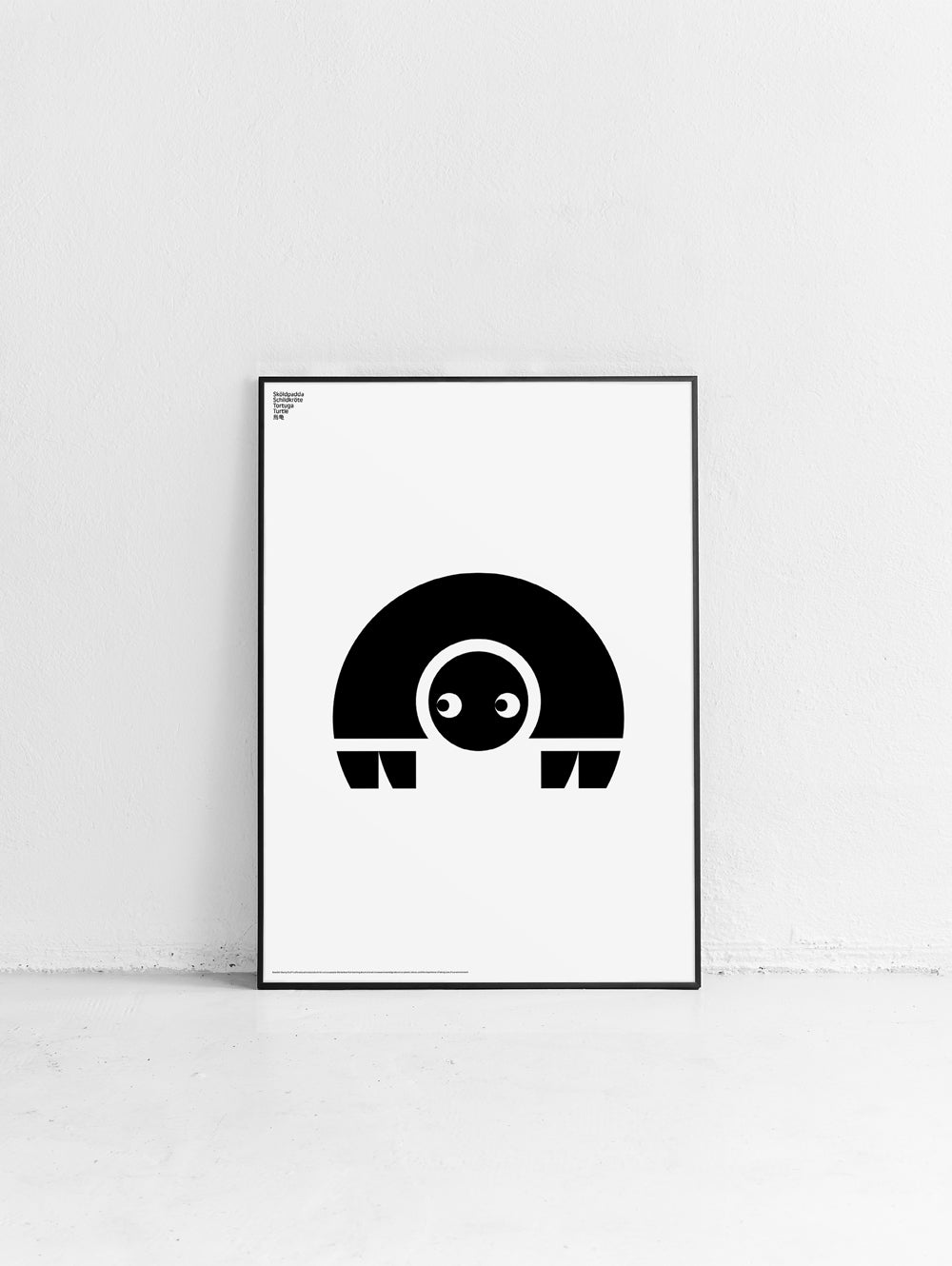 Animal Turtle Poster