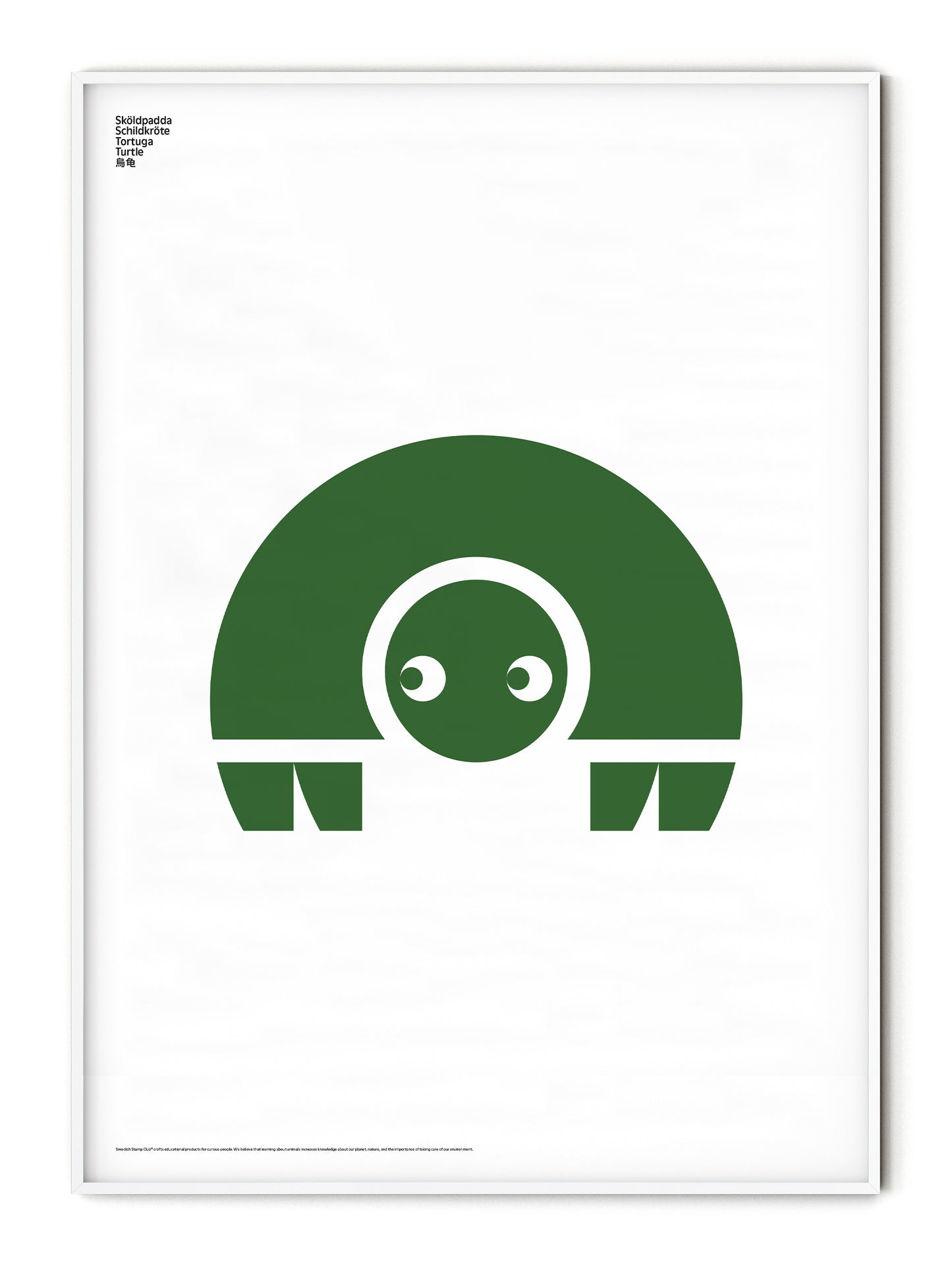 Animal Turtle Poster