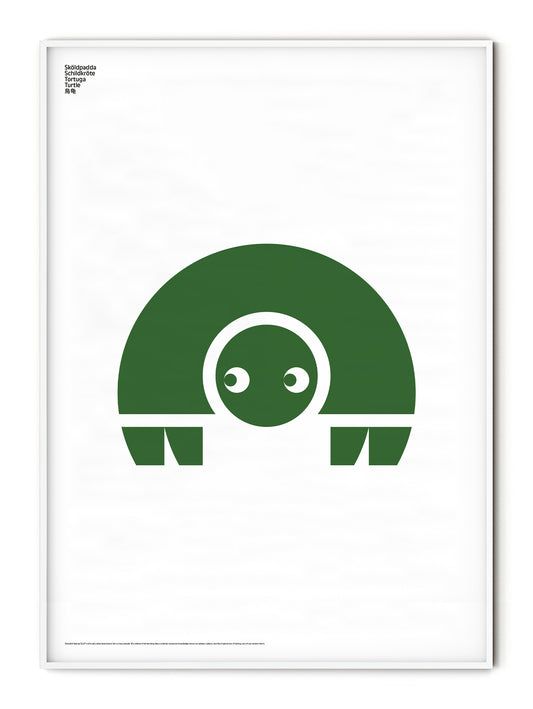 Animal Turtle Poster