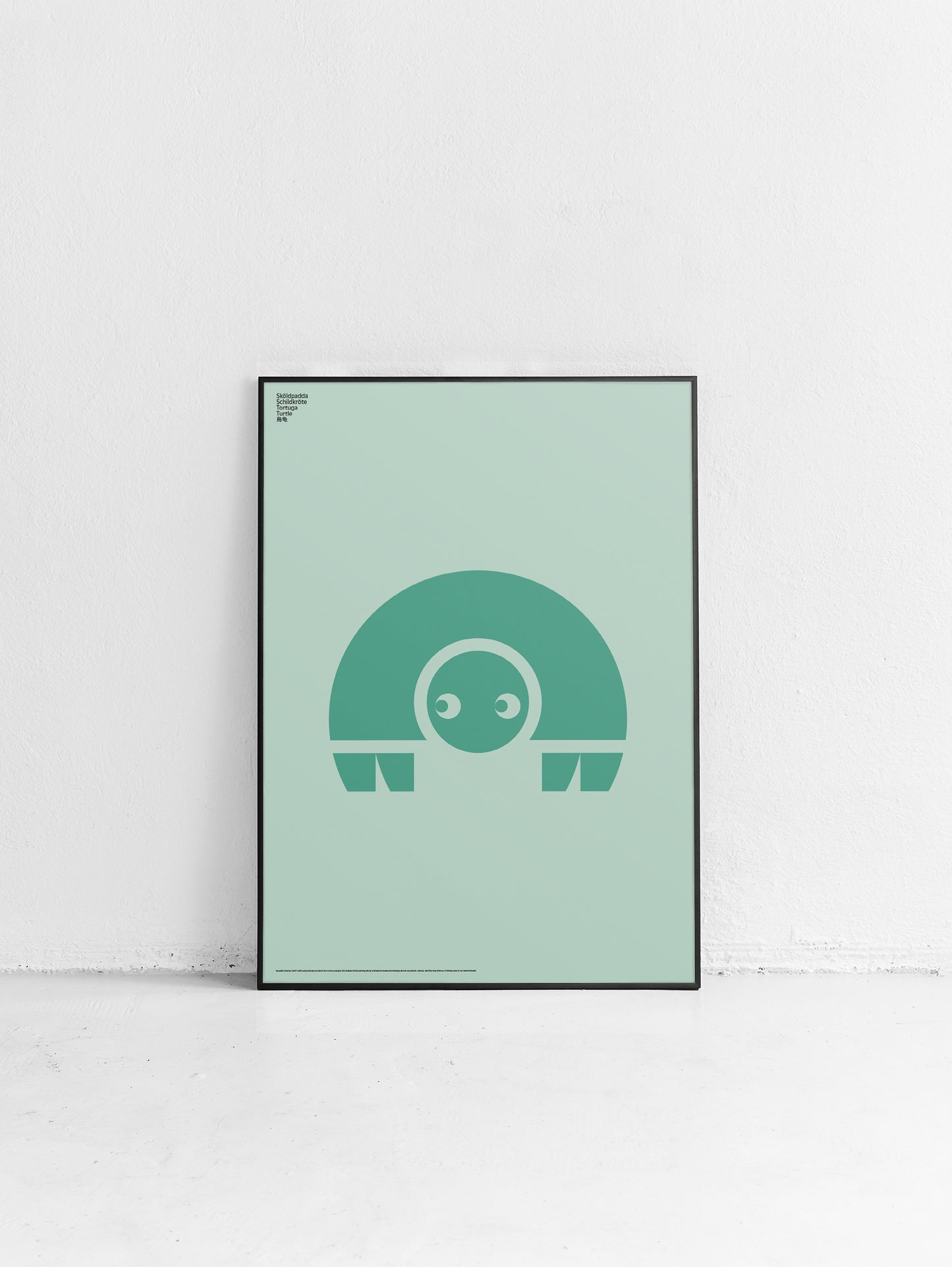 Animal Turtle Poster