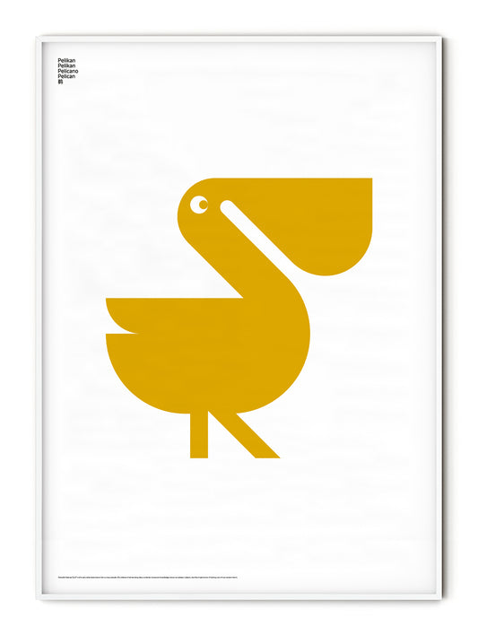 Animal Pelican Poster
