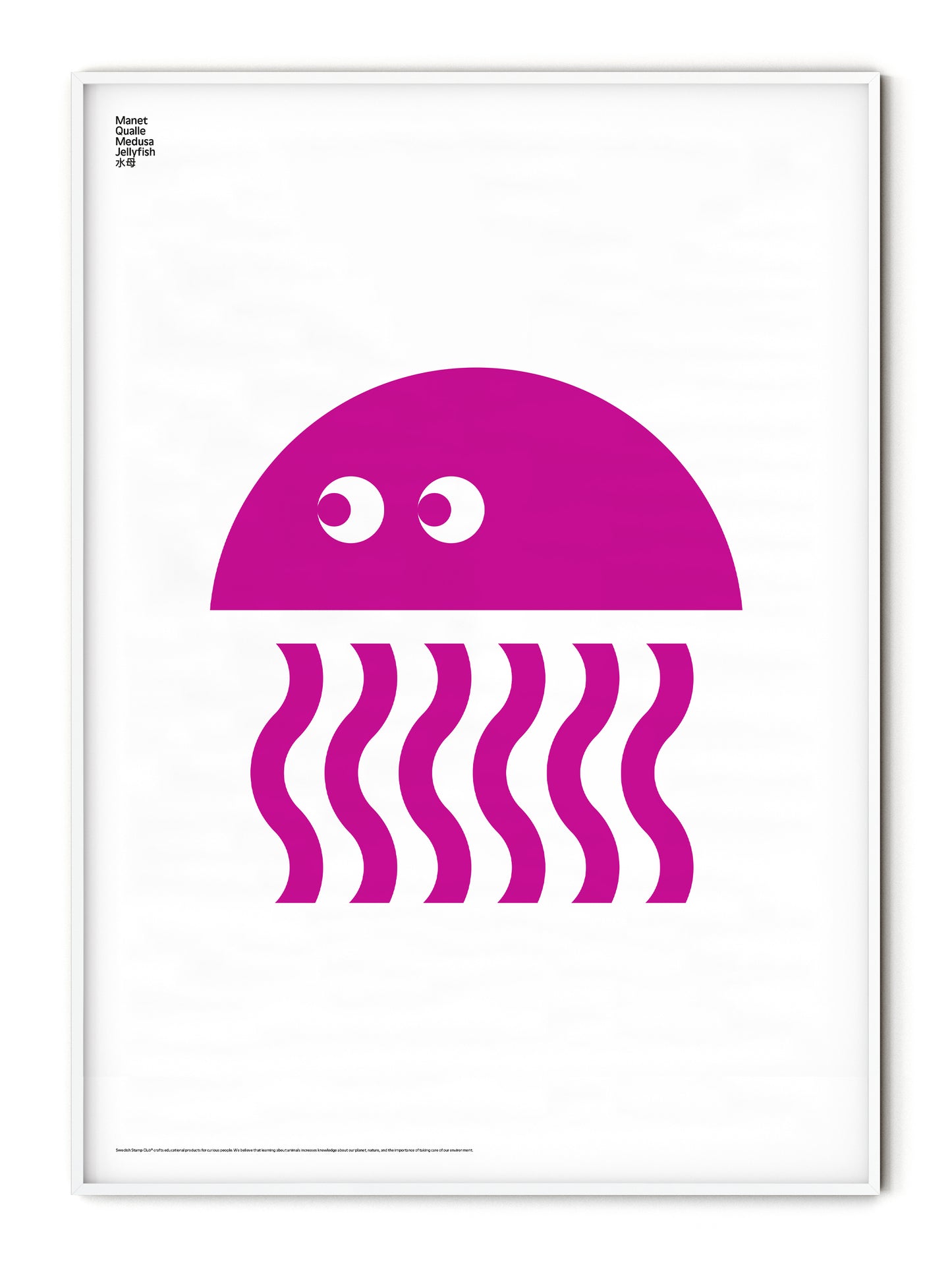 Animal Jellyfish Poster