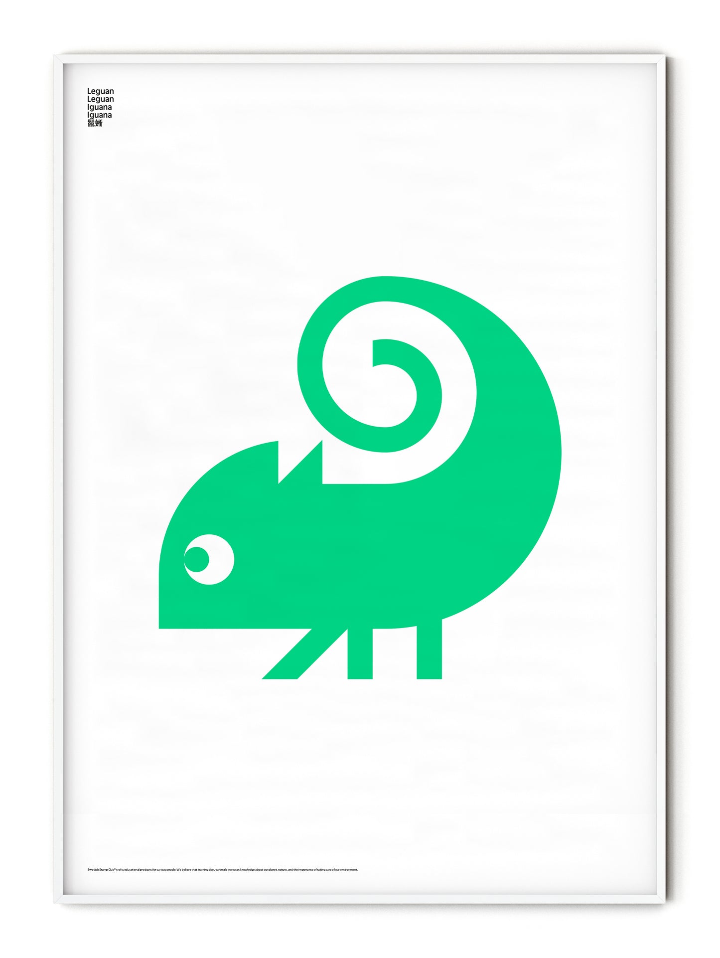 Animal Iguana Poster
