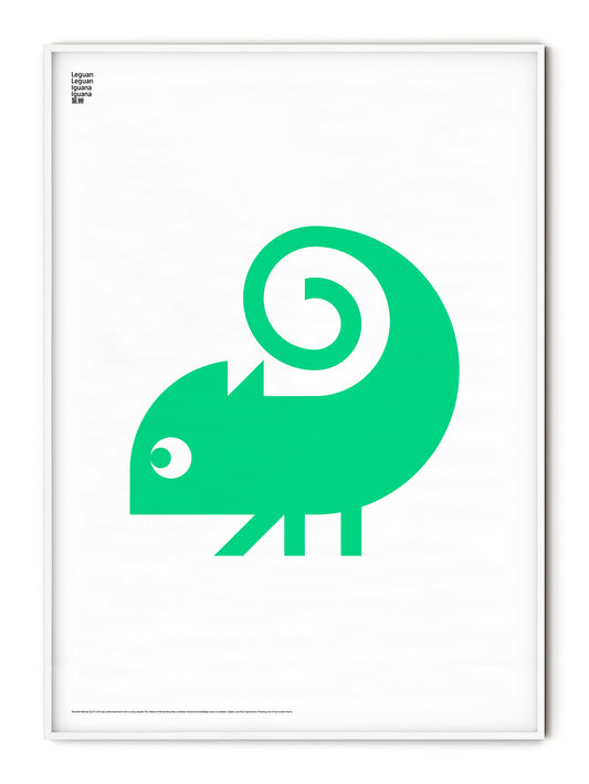 Animal Iguana Poster