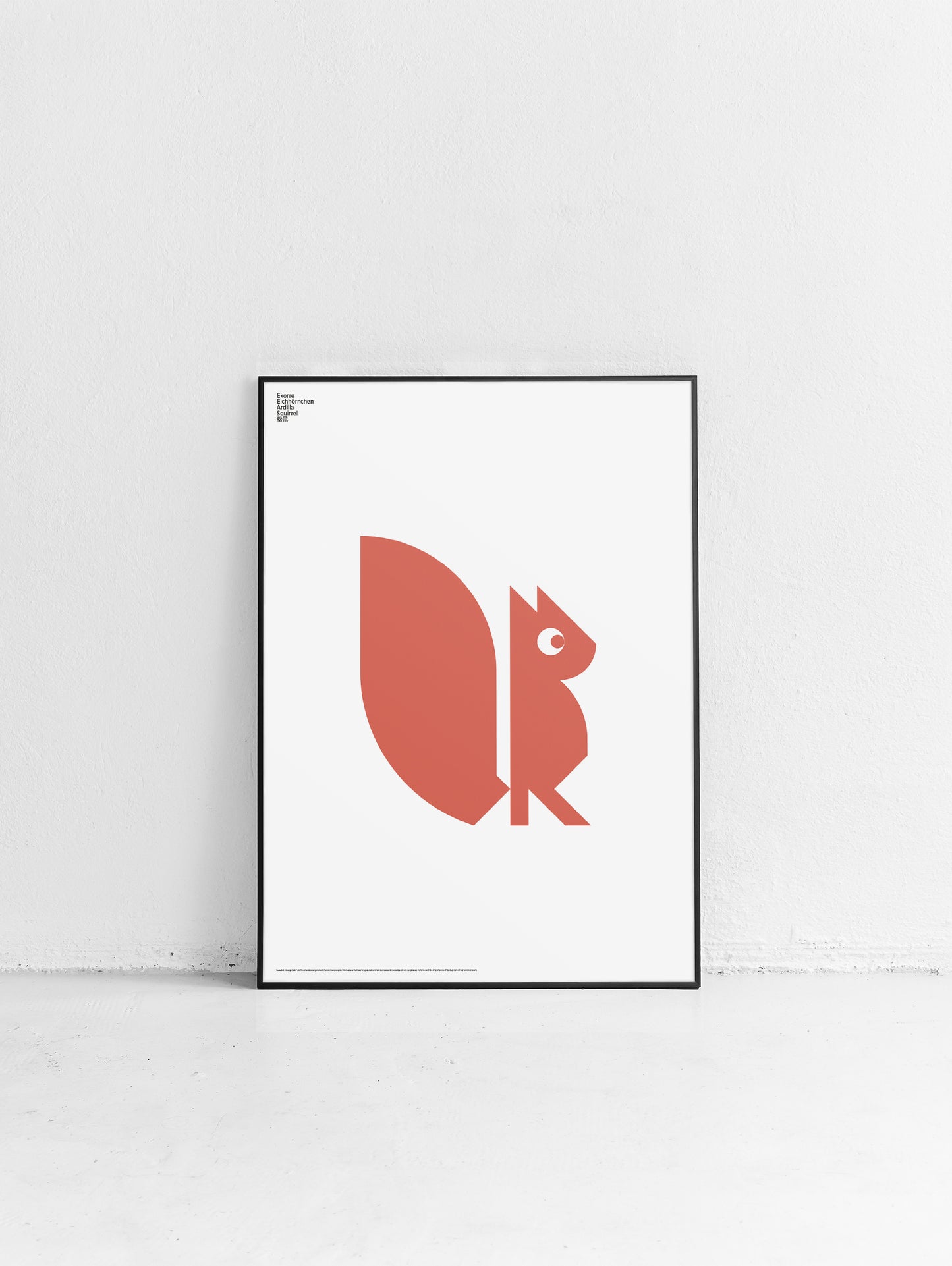 Animal Squirrel Poster