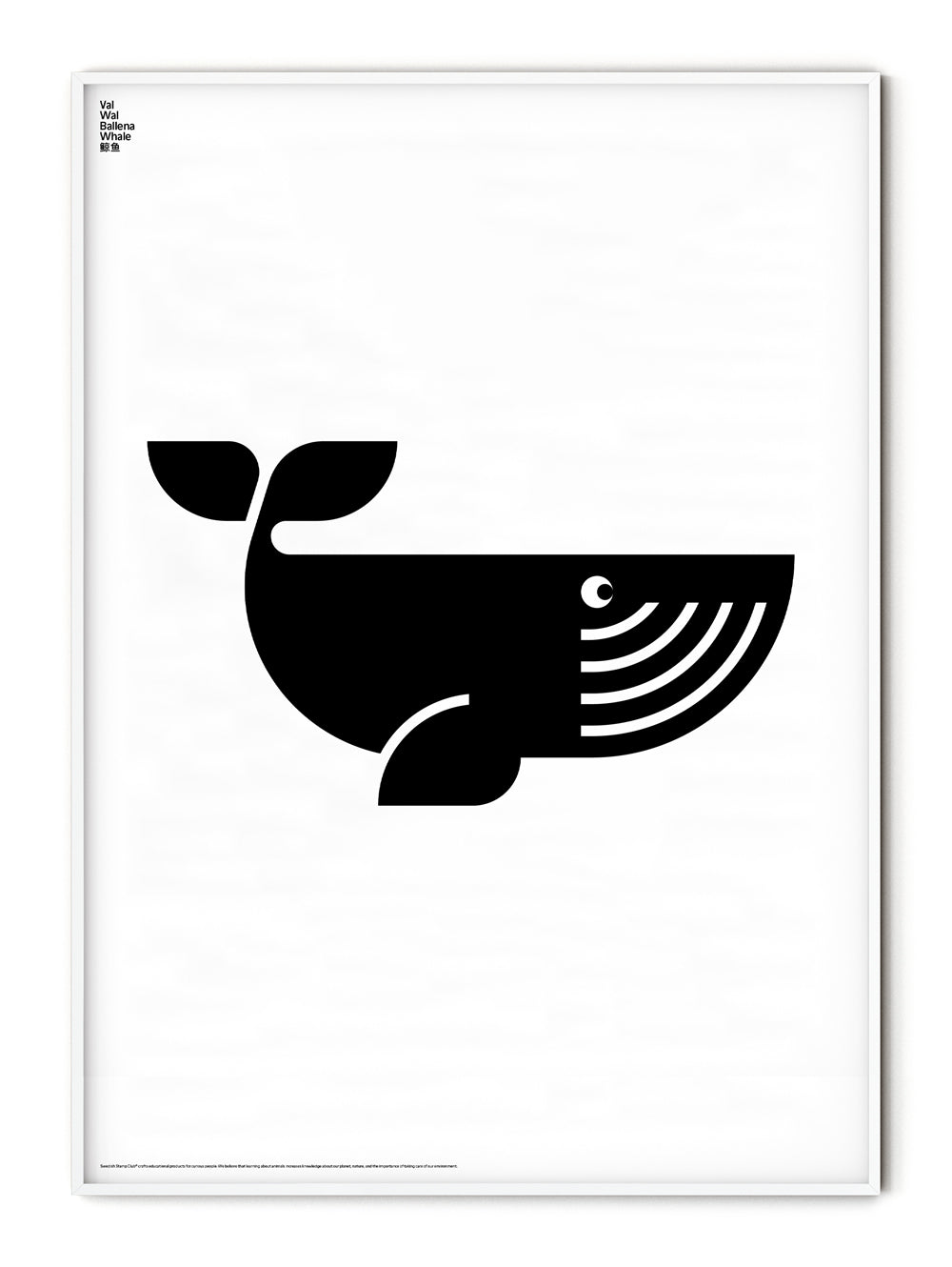 Animal Whale Poster