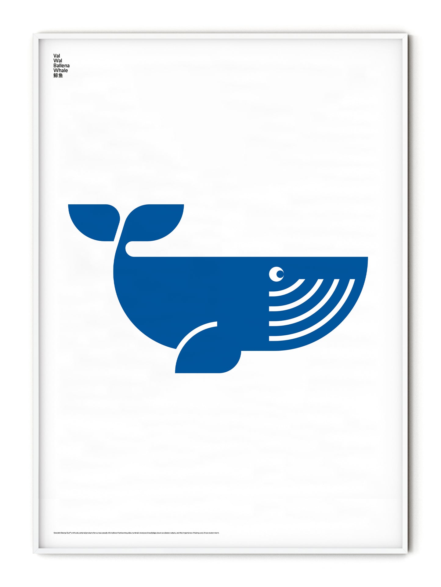 Animal Whale Poster
