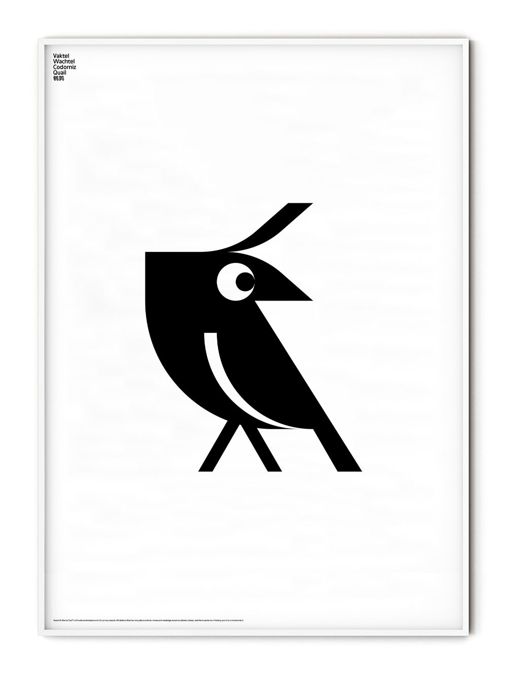 Animal Quail Poster
