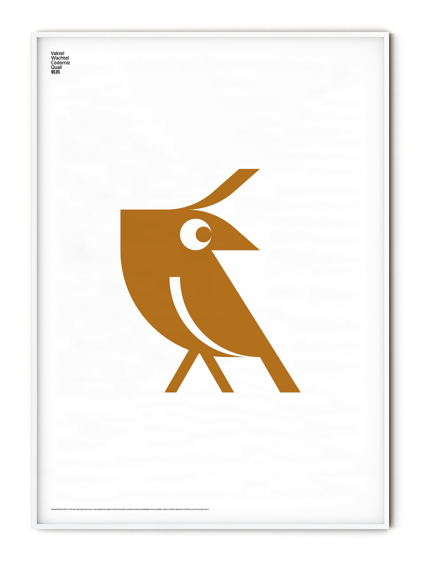 Animal Quail Poster