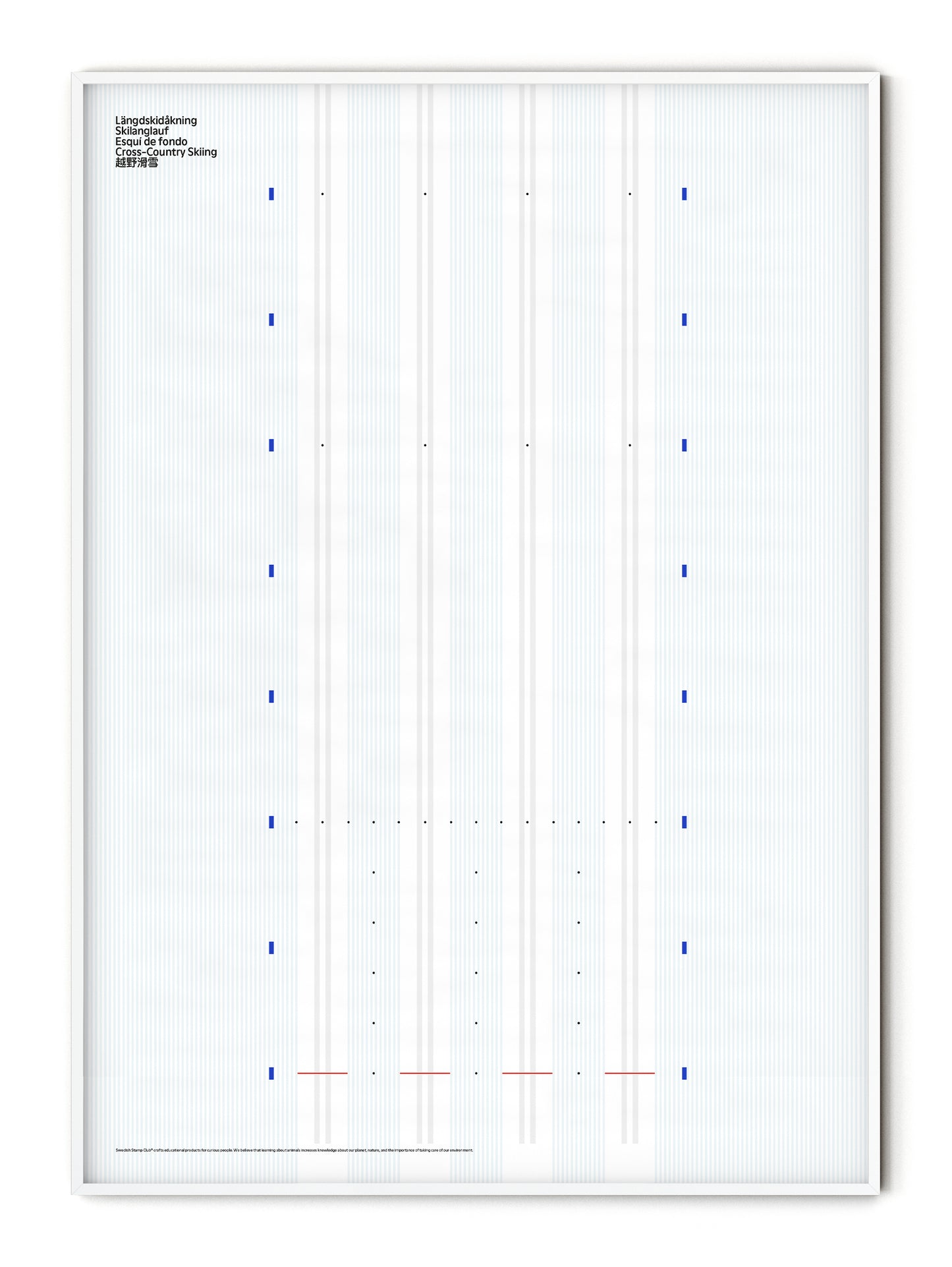 Sport Cross-Country Skiing Poster