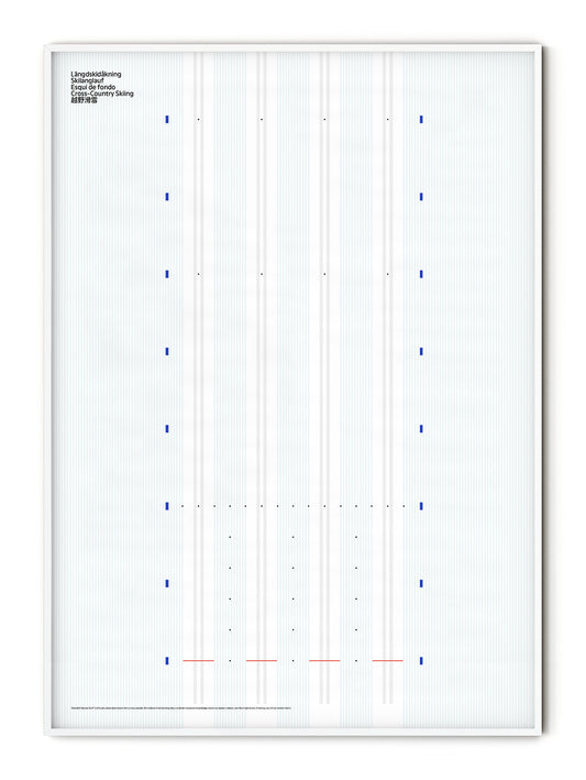 Sport Cross-Country Skiing Poster