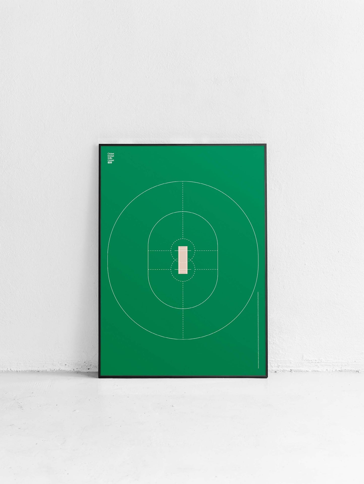 Sport Cricket Poster